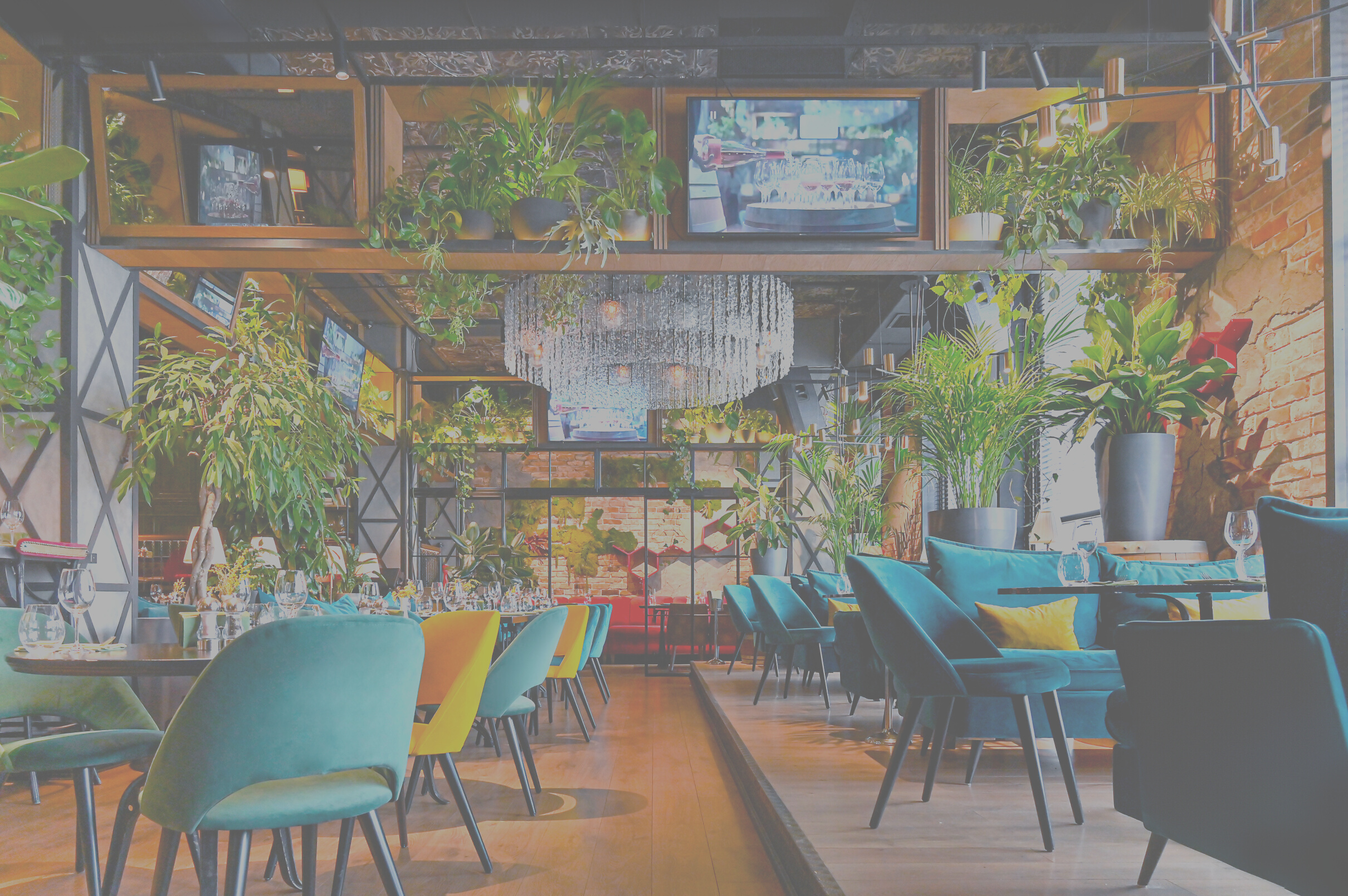 Inside of a Restaurant